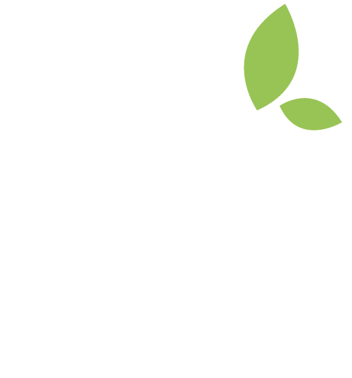 basofagie-logo-weiß-grünes-blatt basofagie-logo-weiß-grünes-blatt